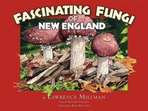 Fascinating Fungi of New England