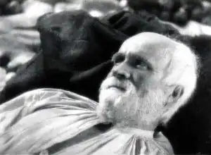Photograph from The Bog