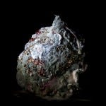 heikki leis' moldy artistry