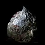heikki leis' moldy artistry