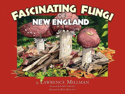 Cover of Fascinating Fungi of New England: three red-capped mushrooms on a log.