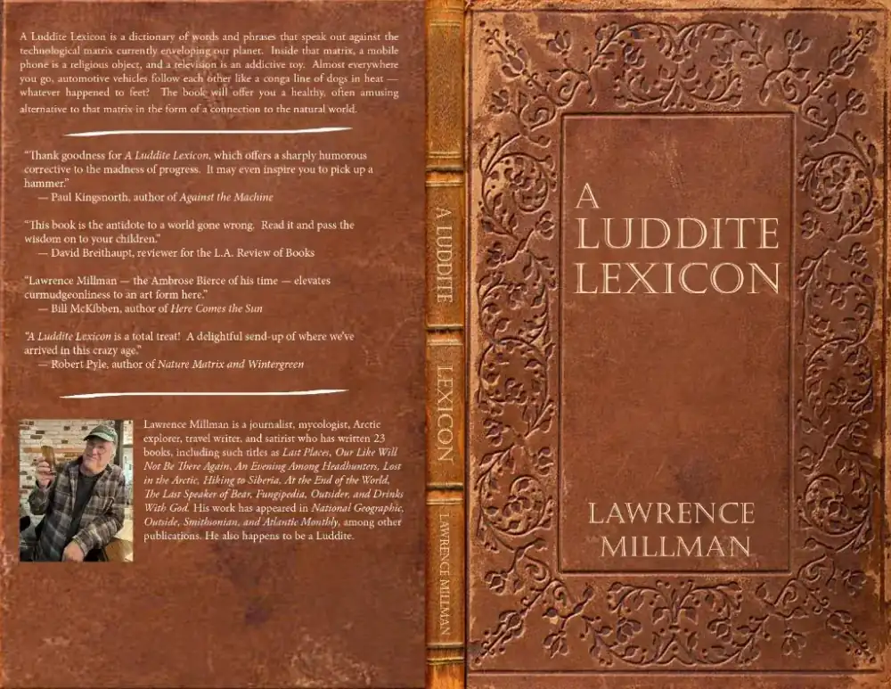 Jacket of A Luddite Lexicon: back cover, spine, and front.