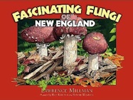 Fascinating Fungi of New England